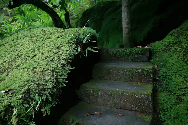 Paisaje Del Parque Verano Vista Estacional Árboles Verdes Verano Paseo — Foto de Stock