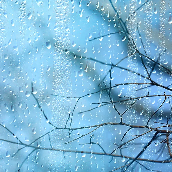 雨窗秋园枝叶黄 抽象秋底 风景在雨窗 天气十月雨 — 图库照片