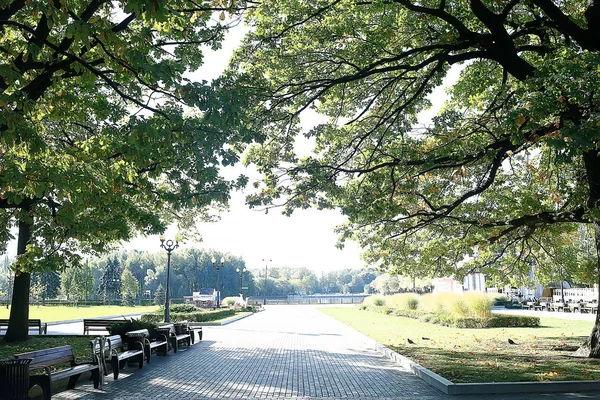 Szép Őszi Park Táj Erdő Fák Sárga Lombozat Őszi Táj — Stock Fotó