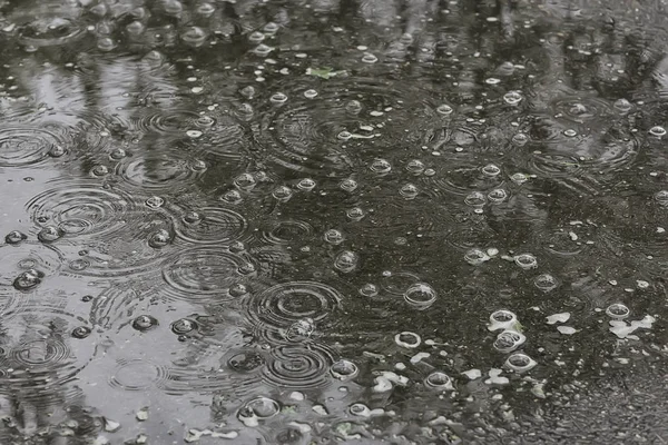 Fondo Charco Lluvia Círculos Gotas Charco Textura Con Burbujas Agua —  Fotos de Stock