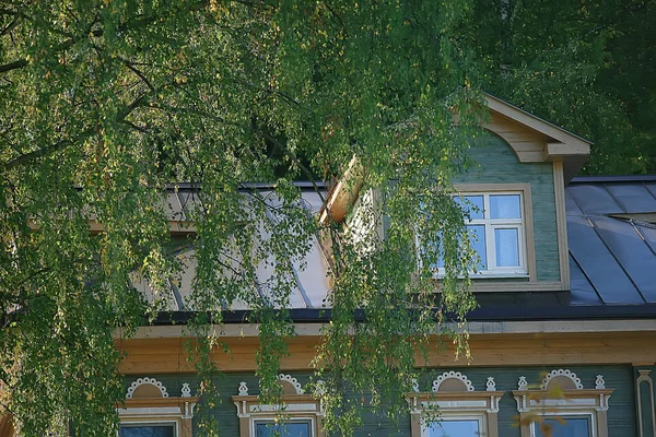 Grüne Zweige Blätter Hintergrund Abstrakte Ansicht Saisonale Sommer Wald Laub — Stockfoto