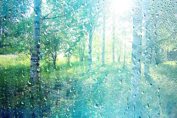 Summer Rain Wet Glass Abstract Background Landscape Rainy Day Window — Stock Photo, Image