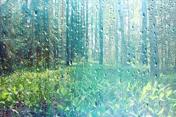 Summer Rain Wet Glass Abstract Background Landscape Rainy Day Window — Stock Photo, Image