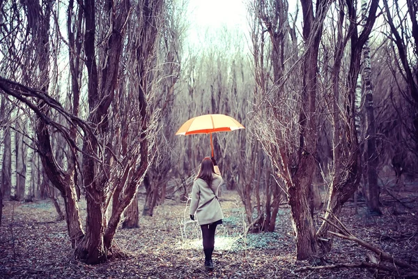 Chica Paraguas Bosque Paisaje Otoño Vista Mujer Joven Con Paraguas —  Fotos de Stock