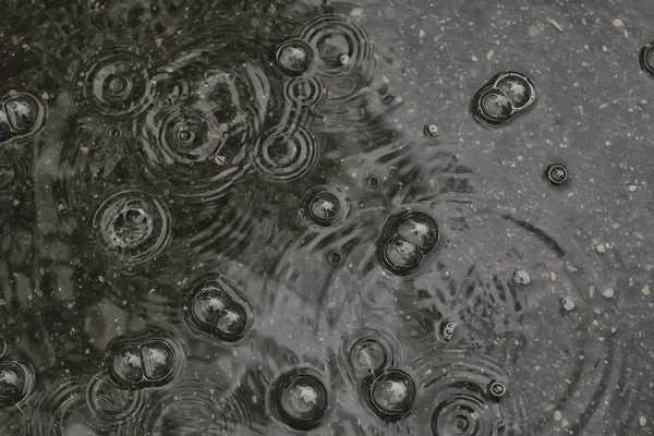 背景水たまり雨 円や水たまりの中に滴 水の中の泡とテクスチャ 秋の雨 — ストック写真