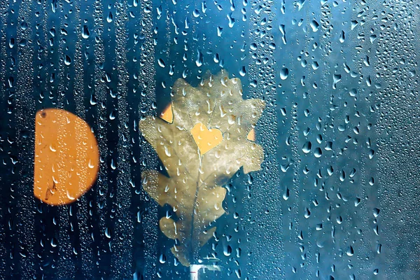 rain window autumn park branches leaves yellow / abstract autumn background, landscape in a rainy window, weather October rain