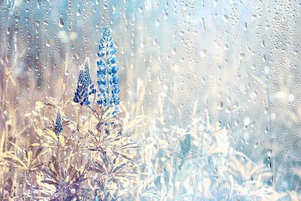 Осінній Скляний Дощ Пейзаж Абстрактний Осінній Вид Мокра Погода Клімат — стокове фото