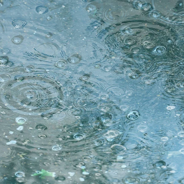 Niebieskie Kałuży Tło Deszcz Krople Deszczu Koła Kałuży Pęcherzyki Wodzie — Zdjęcie stockowe