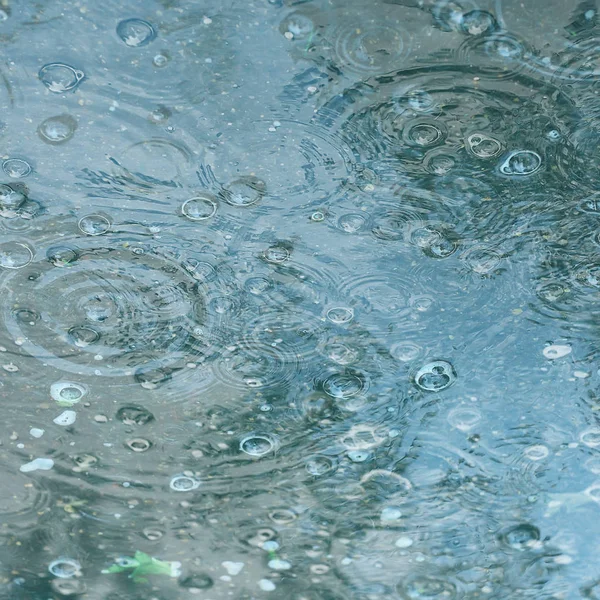 Charco Fondo Azul Lluvia Gotas Lluvia Círculos Charco Burbujas Agua —  Fotos de Stock