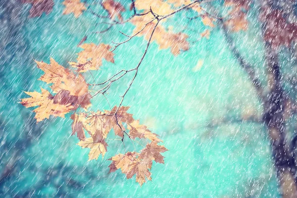Jesienny Deszcz Jesień Tło Jesienny Krajobraz Deszczowej Pogody Sezonowe Krajobraz — Zdjęcie stockowe
