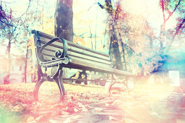 bench in autumn park landscape / seasonal landscape rest in autumn lonely park