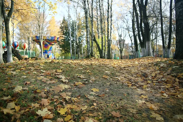 Podzimní Krajina Parku Sezonní Žlutá Krajina Slunný Park Padlým Listí — Stock fotografie