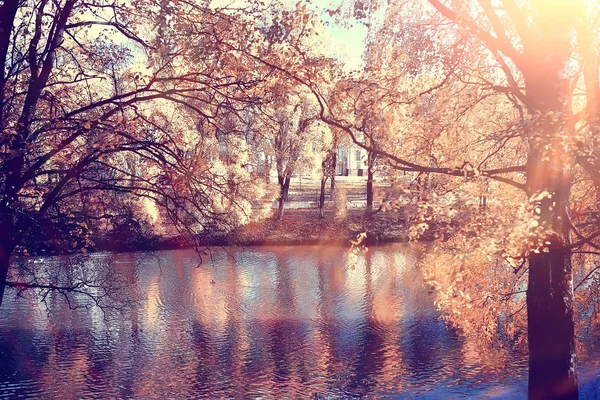 Podzimní Park Sluneční Krajina Sezónní Podzimní Krajina Žlutém Parku Sluneční — Stock fotografie