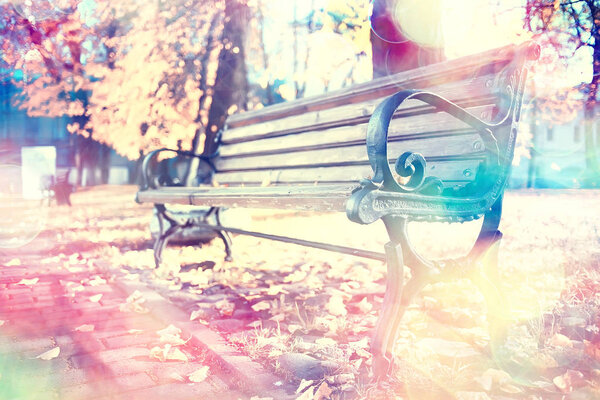 bench in autumn park landscape / seasonal landscape rest in autumn lonely park