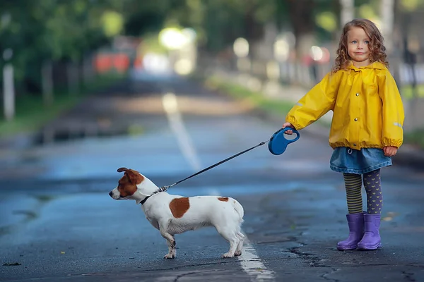 犬ジャックラッセルテリア 子供の子供時代の友情 ペット 秋の公園の散歩で小さな犬を持つ小さな女の子 — ストック写真