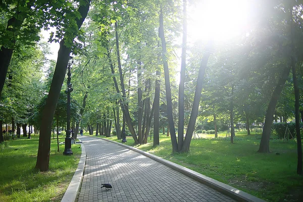 夏の公園の風景 季節の景色 夏の緑の木 コンセプト自然散歩 — ストック写真