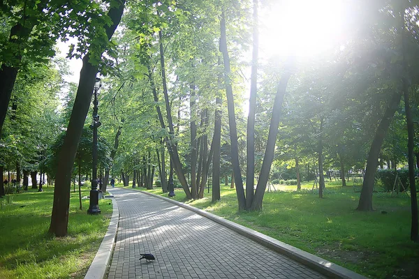 Letní Park Krajina Sezonní Výhled Zelené Stromy Létě Koncept Přírodní — Stock fotografie