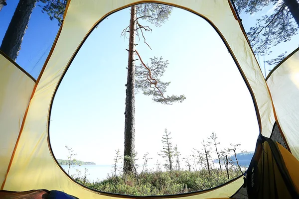 Turist Tält Inne Sommarskog Sommarlov Skogen Tält Camping — Stockfoto