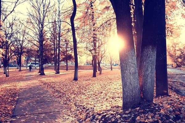 公園の秋の風景 落ち葉のある季節の黄色い風景晴れた公園 — ストック写真
