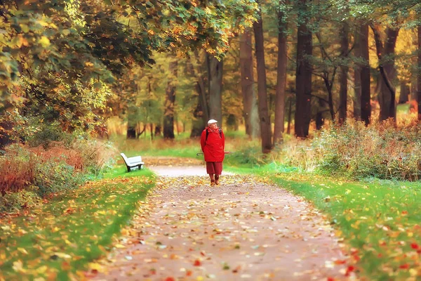 Sonbahar Parkı Manzara Konsept Doğa Mevsimlik Peyzaj Sezon Sonbahar Orman — Stok fotoğraf