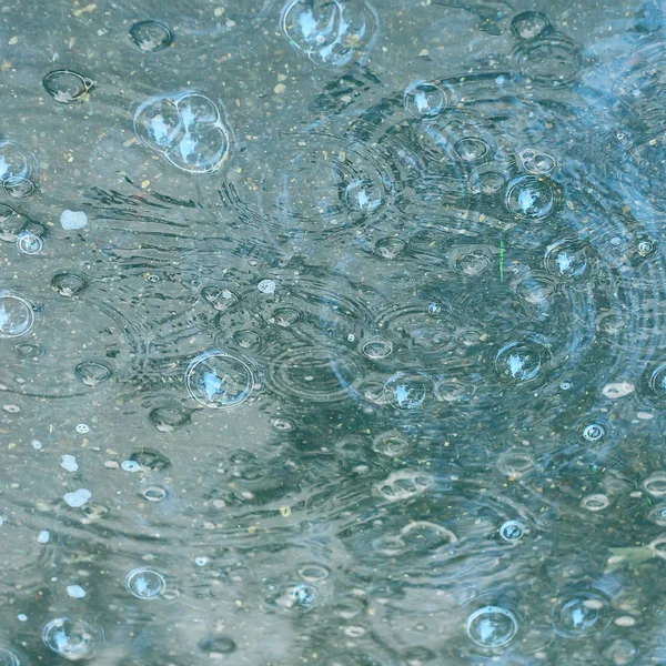 Fundo Azul Poça Chuva Gotas Chuva Círculos Uma Poça Bolhas — Fotografia de Stock