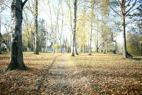 Φθινοπωρινό Τοπίο Στο Πάρκο Εποχικό Κίτρινο Ηλιόλουστο Πάρκο Πεσμένα Φύλλα — Φωτογραφία Αρχείου