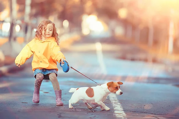 小女孩与狗杰克鲁塞尔猎犬 儿童童年友谊 小狗在秋天公园散步 — 图库照片