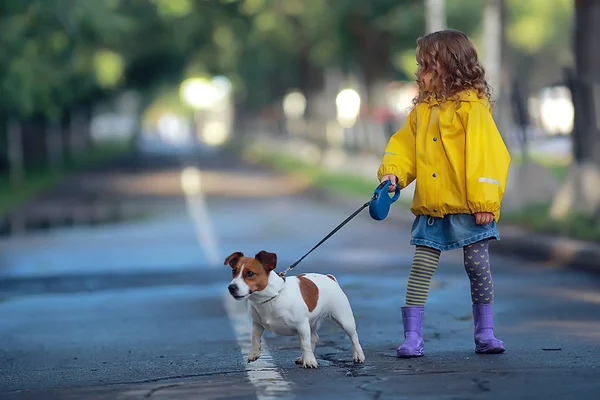 Mała Dziewczynka Psem Jack Russell Terrier Dzieci Dzieciństwo Przyjaźń Zwierzę — Zdjęcie stockowe