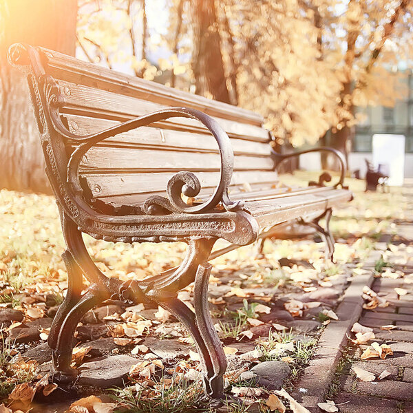 bench in autumn park landscape / seasonal landscape rest in autumn lonely park