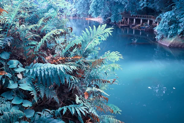 Tropical Green Leaves Background Abstract Nature Selva Rainforest Background — Fotografia de Stock