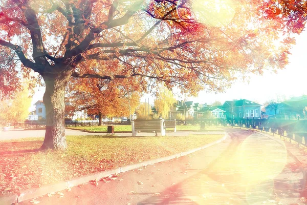 Herbstlandschaft Park Saisonal Gelbe Landschaft Sonniger Park Mit Abgefallenen Blättern — Stockfoto