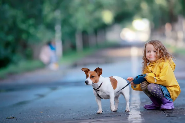 小女孩与狗杰克鲁塞尔猎犬 儿童童年友谊 小狗在秋天公园散步 — 图库照片