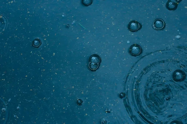 Fundo Azul Poça Chuva Gotas Chuva Círculos Uma Poça Bolhas — Fotografia de Stock