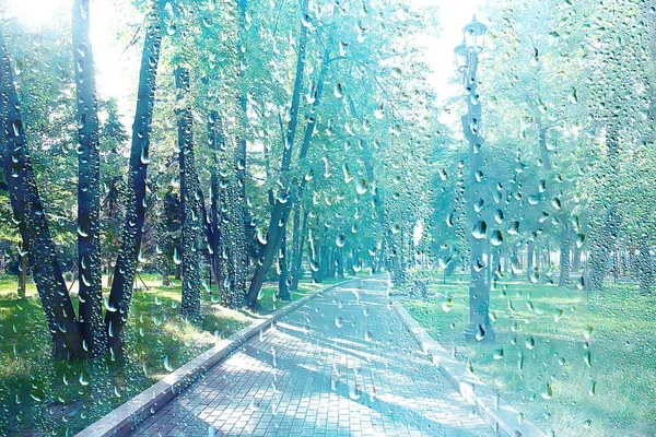 Été Pluie Humide Verre Abstrait Fond Paysage Par Jour Pluie — Photo