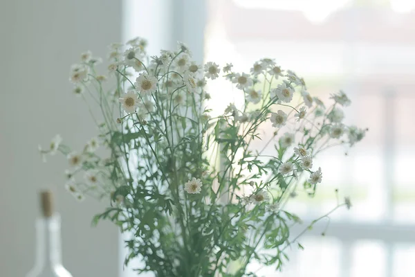 Buket Sedmikráků Koncept Letní Romantický Dar Pocta Kytice Divokých Květin — Stock fotografie