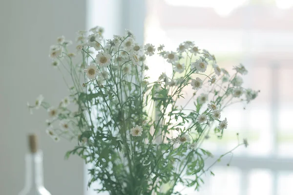 Bouquet Daisies Concept Summer Romantic Gift Homeliness Bouquet Wild Wildflowers — Stock Photo, Image