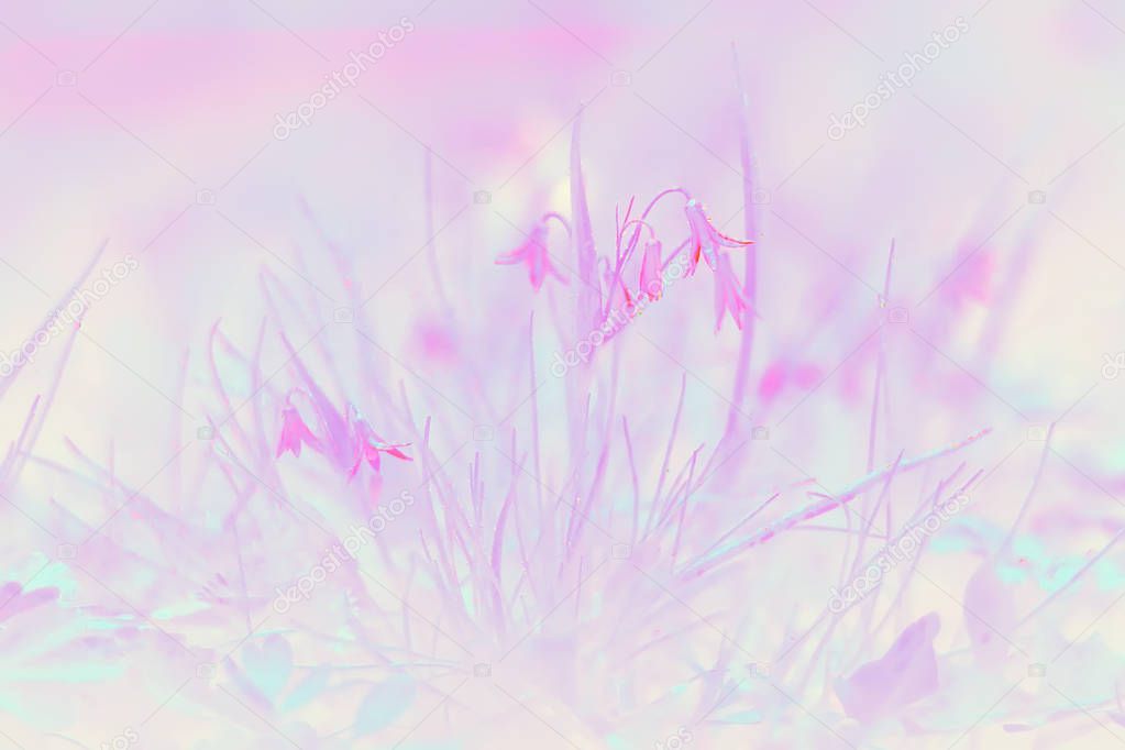 pink toning leaves background, abstract unusual spring background