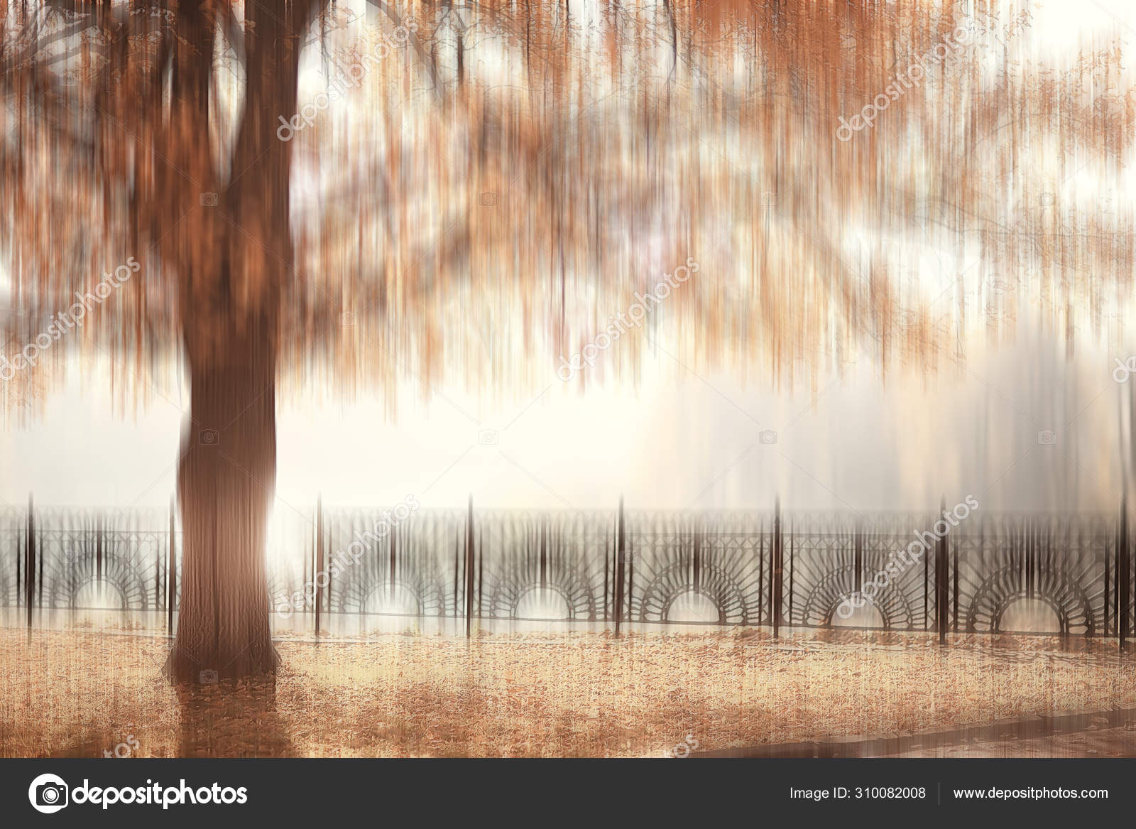 ぼやけた秋の背景公園 黄色の壁紙 秋の森 季節の風景の概念 木の枝 ストック写真 C Xload