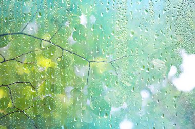 pencere bulanık arka plan dışında yağmurlu bir günde yaz yağmur ıslak cam / soyut arka plan manzara