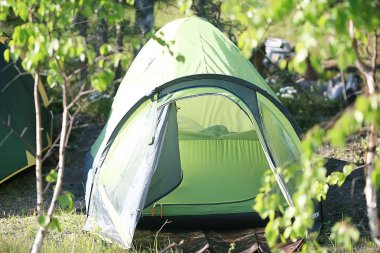 yaz orman manzara, seçici odak