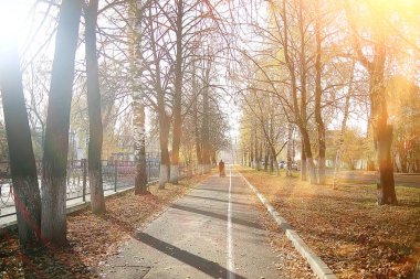 dalları sarı arka plan / soyut mevsimsel arka plan düşen güzel fotoğraf yaprakları bırakır bırakır