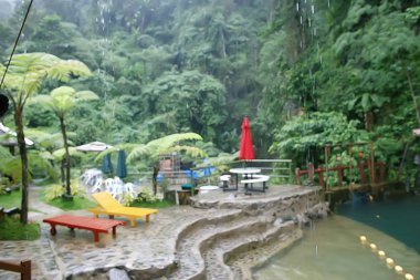 yaz parkı manzara / mevsimlik görünümü, yaz aylarında yeşil ağaçlar, konsept doğa yürüyüşü, ekoloji, eko