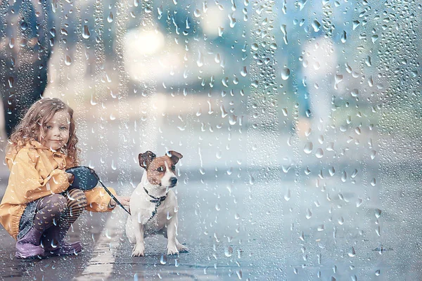 Menina Com Cão Jack Russell Terrier Criança Amizade Infantil Animal — Fotografia de Stock