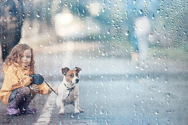 Petite Fille Avec Chien Jack Russell Terrier Enfant Amitié Enfance — Photo