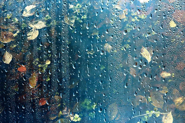 Regen Venster Herfst Park Takken Verlaat Geel Abstract Herfst Achtergrond — Stockfoto
