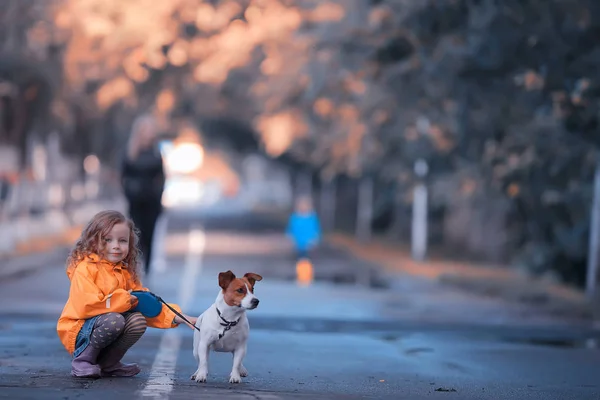 Mała Dziewczynka Psem Jack Russell Terrier Dzieci Dzieciństwo Przyjaźń Zwierzę — Zdjęcie stockowe