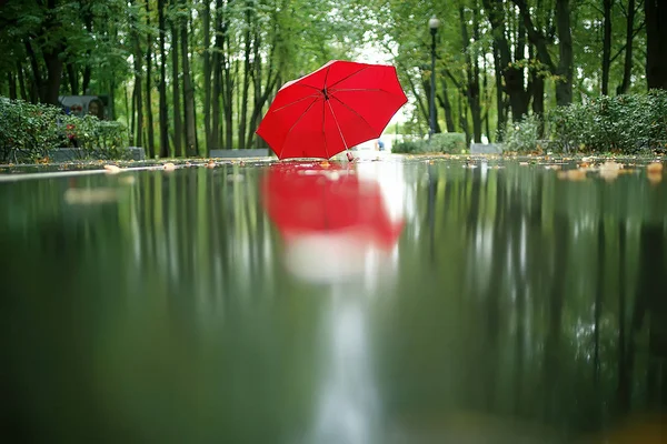 Regentropfen Nasswetterkonzept Abstrakte Tropfen Und Wasserdüsen Herbstregen — Stockfoto