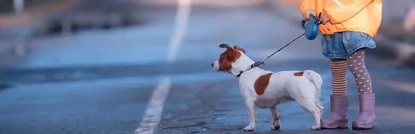 Petite Fille Avec Chien Jack Russell Terrier Enfant Amitié Enfance — Photo