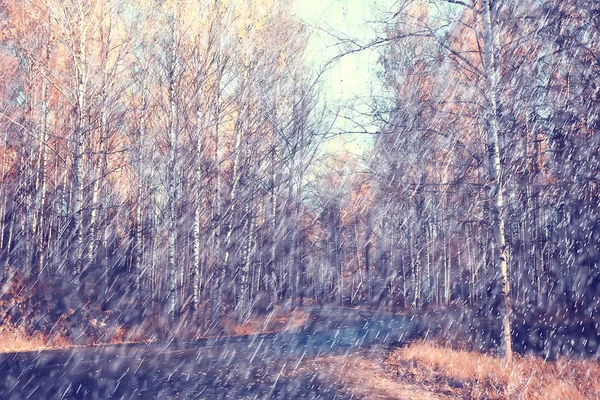 Herfst Regen Achtergrond Druppels Abstract Herfst Landschap Regenachtig Weer Seizoensgebonden — Stockfoto