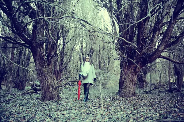 Dívka Deštníkové Lesy Krajina Podzimní Pohled Mladá Žena Deštníkem Městském — Stock fotografie